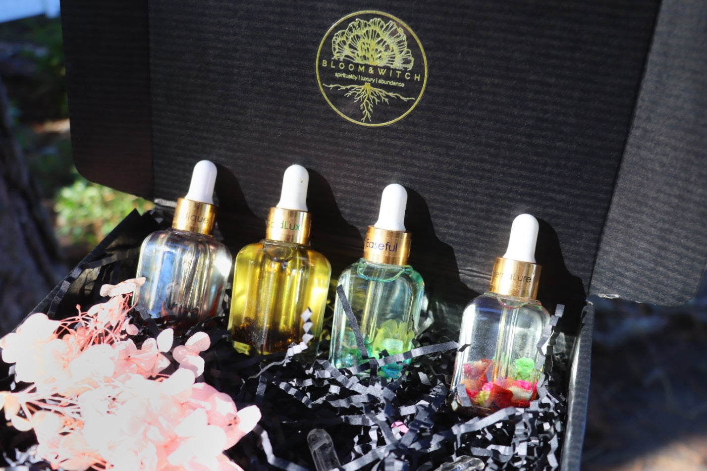 Embodied Collection - SAVE 20% - Set of 4 Parfums for Love, Money, Energy and Confidence